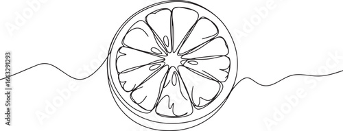 Continuous Line Drawing of a Blood Orange Slice for Minimalist D