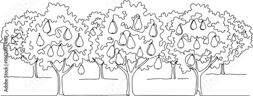 Minimalist pear orchard illustration with continuous line art de