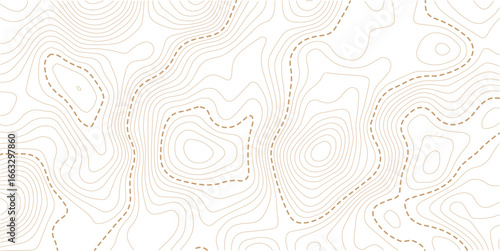 Contour topographic map. Geographic grid map background. Vector illustration. Design illustration for wall art, fabric, packaging, web, banner, wallpaper.