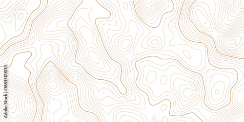 Topography and geography map grid abstract backdrop. Abstract topographic contours map background. Contour Line Pattern in Black and White. Luxury gold abstract line art background vector