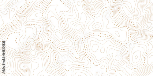 Topography and geography map grid abstract backdrop. Abstract topographic contours map background. Contour Line Pattern in Black and White. Luxury gold abstract line art background vector