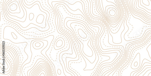 Topography and geography map grid abstract backdrop. Abstract topographic contours map background. Contour Line Pattern in Black and White. Luxury gold abstract line art background vector