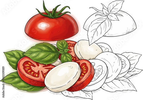 Simple and Elegant A Caprese Salad Sketch