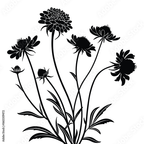 Black and white silhouette of a cluster of flowering plants with multiple blooms and buds floral