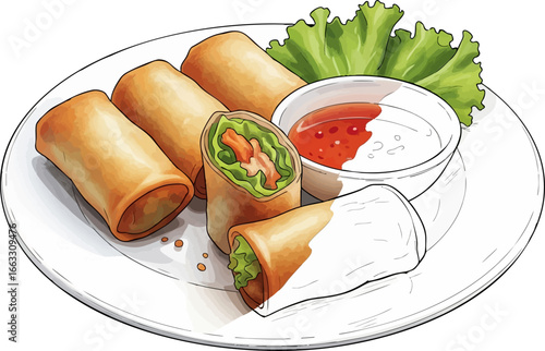The Crispy Appetizer A Spring Roll Sketch