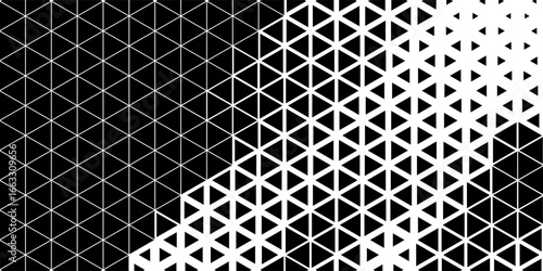 Abstract geometric black and white deco art halftone hexagone and triangle print pattern. vector background