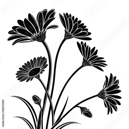 Black Silhouette of Daisy Flowers and Buds on a White Background vector illustration