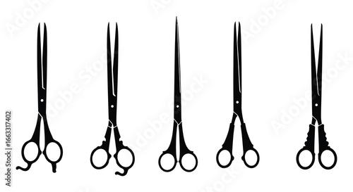 A set of five different types of scissors on a white background