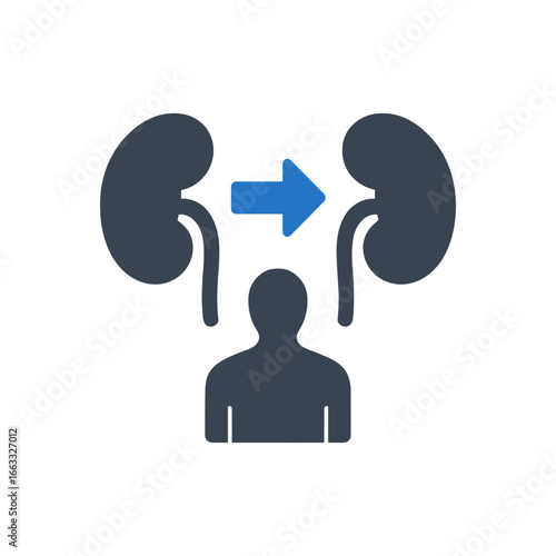 Kidney Transplant Journey Icon