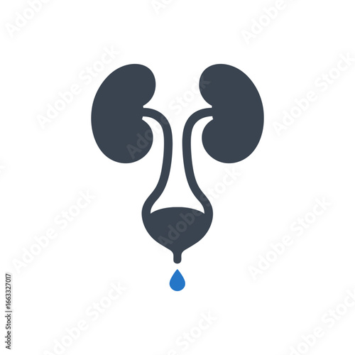 Normal Urinary Function Icon
