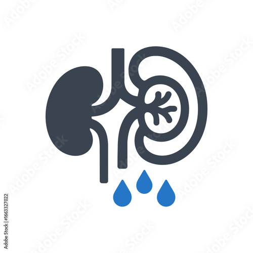 Impaired Renal Filtration Icon