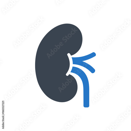 Kidney Vascular Structure Icon