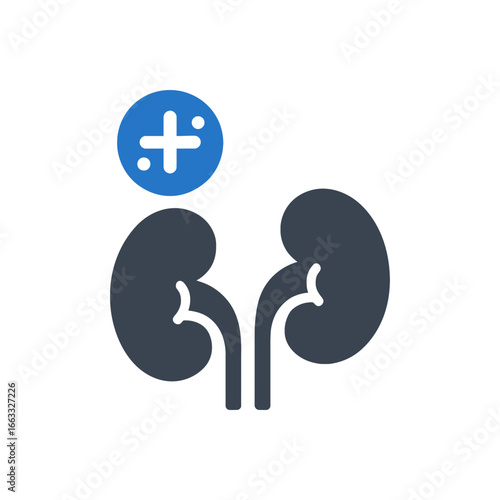 Kidney Health Checkup Icon