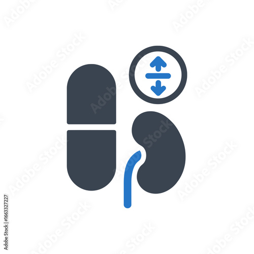 Kidney Medication Therapy Icon