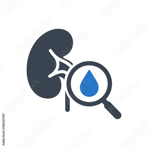 Urinary Analysis Check Icon