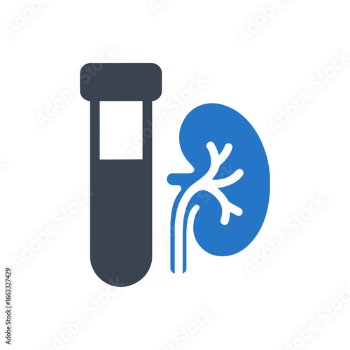 Renal Function Test Icon
