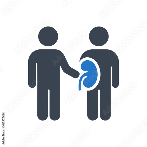 Kidney Donation Process Icon