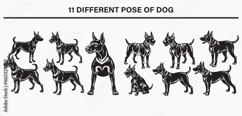 Loyal Dog Silhouette