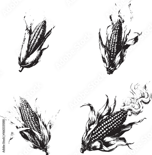 A hand-drawn sketch of an ear of corn with steam rising from it, vector illustration, white background, black and gray tones, vector art style, clip art, flat design.eps
