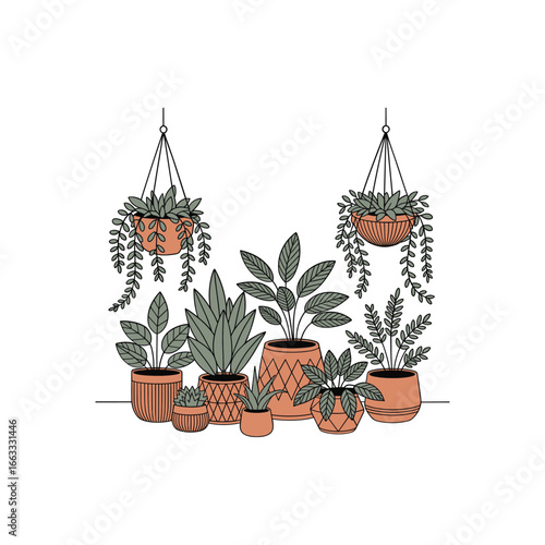 Assortment of potted houseplants in decorative planters hung and arranged in a lush indoor garden white background