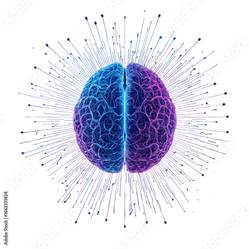 3d rendered illustration of human brain