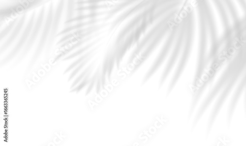 Transparent shadow overlay effect tropical leaves. Realistic shadow of palm branch. Mockup of transparent tropic leaves shadow and natural lightning. Vector illustration