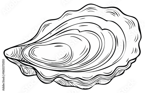 Stylized Closed Oyster Shell Hand Drawn Line Art Black and White Marine Illustration