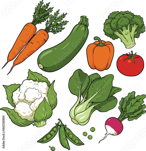 Assortment of Fresh Vegetables Including Carrots Zucchini Broccoli Bell Pepper Cauliflower Bok Choy Tomato Peas and Radish