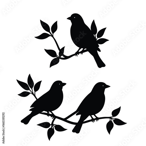 Melodic Trio Perched Among Blossoming Branches at DawnMelodic Trio Perched Among Blossoming Branches at Dawn

