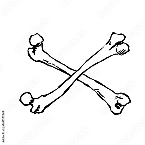 vector illustration of crosses bones
