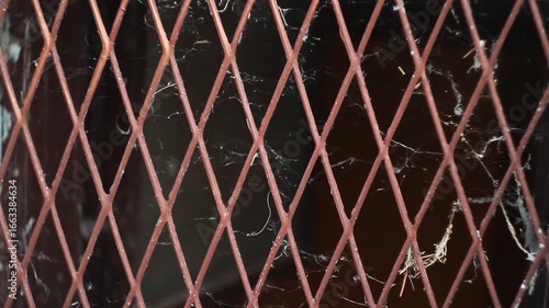 Old iron window bars covered in spider webs create a spooky, eerie mood. Perfect stock footage for Halloween, haunted houses, horror films, dark documentaries, or abandoned places projects.