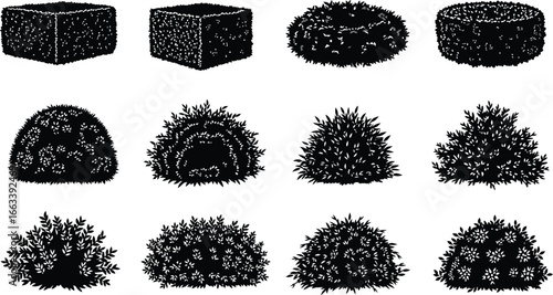 Diverse decorative bushes and hedges for landscaping design projects