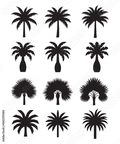 Palm Tree Silhouettes Set Vector Collection on White Background.