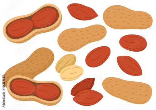 Doodle peanuts in cartoon style collection. Healthy food set with nuts. Peeled and unpeeled peanuts isolated on white background. Vector illustration