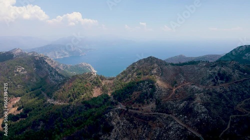 Environmental Impact of Wildfires – Burned Forest from Above