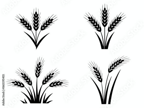 Collection of wheat stalk silhouettes isolated on white background