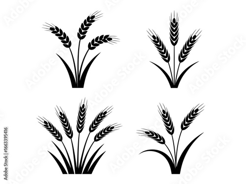 Collection of wheat stalk silhouettes isolated on white background