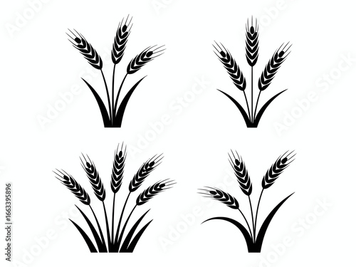 Four black wheat stalk silhouettes isolated on white background