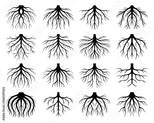 Collection of black tree root silhouettes isolated on white background