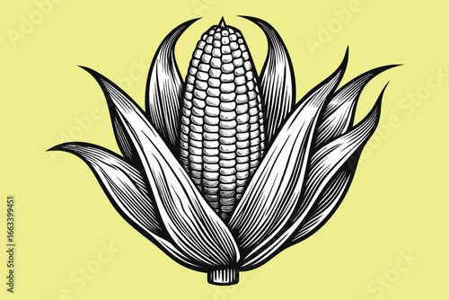 Fresh corn cob with green husks, a classic symbol of harvest and natural abundance