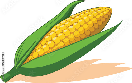 Fresh golden corn on the cob with vibrant green leaves ready for harvest season