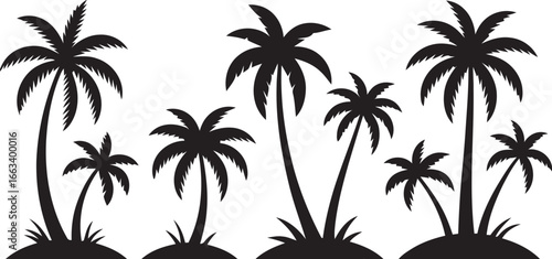Collection of black palm tree silhouettes on a white background isolated on white background