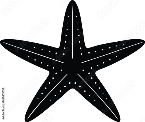 starfish silhouette vector