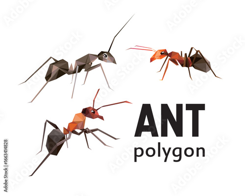 Ant Animal Set in Polygonal Low Poly Vector. Abstract Illustration of Ant Animal. Ant Collection Abtract Logo. Good for book illustration