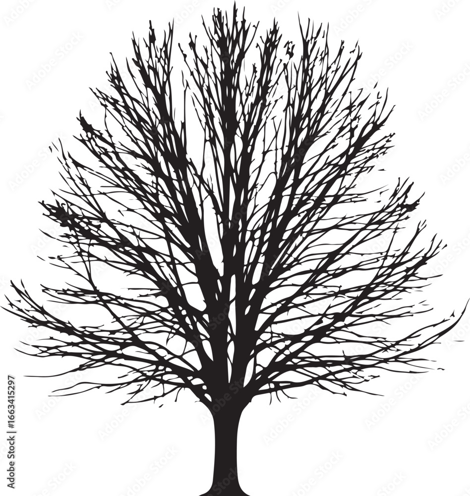 Obraz premium Elegant Tree Silhouette | Black Vector on White Background