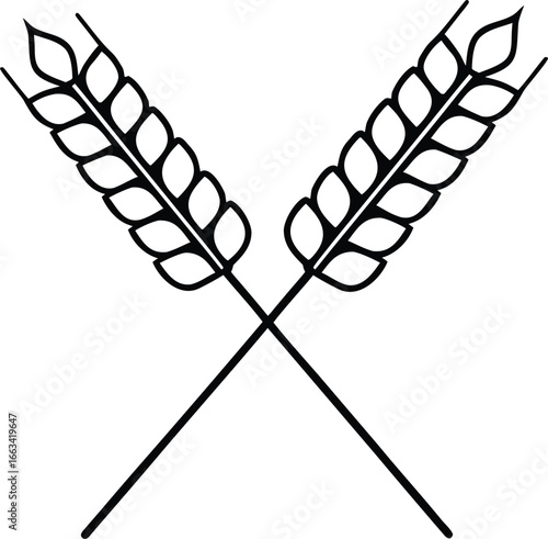 two barley wheat ears crossing outline icon 