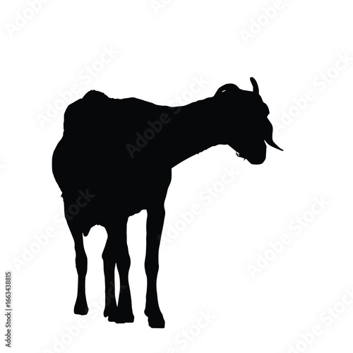 Silhouette of a domestic goat isolated on white background, symbolizing rural farming, livestock, nature, and traditional countryside life in minimalistic vector style.