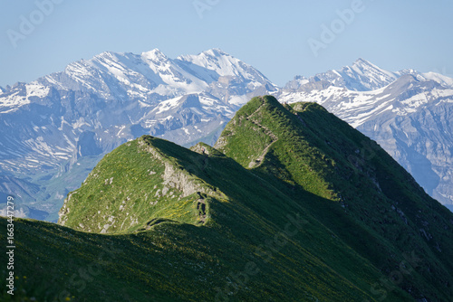 Alpine Ridge with Verdant Grass in Switzerland and Snow-Capped Mountain Peaks in the Background