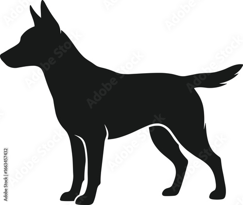 Black silhouette of a standing dog with pointed ears and a wagging tail animal canine