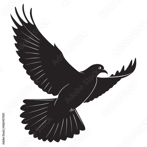 silhouette of a dove